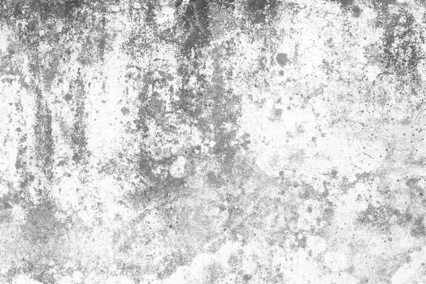 White Grunge Concrete Wall Texture — 스톡 사진