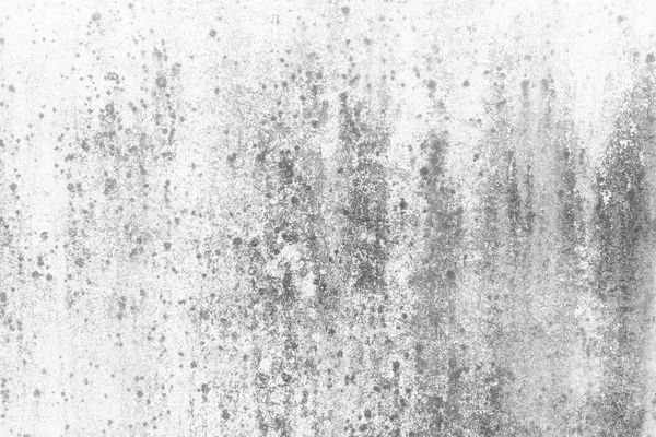 White Grunge Concrete Texture Background — 스톡 사진