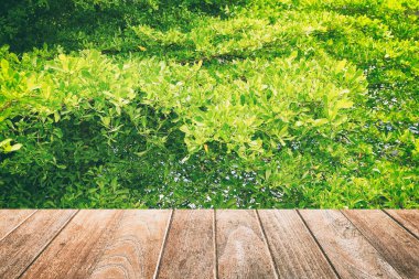 Yeşil Yaprakları Arka Plan ile Boş Ahşap Kaldırım. Ürünler Eki Ekran için Uygun.