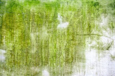 Paslı Grunge Duvar Arka Plan.