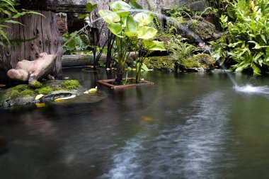 Metin Için Alan ile Parkta Çeşme Kurbağa Heykeli.