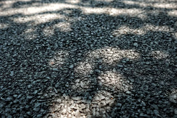 Leaf Shadow Asphalt Road Background — Stock Photo, Image
