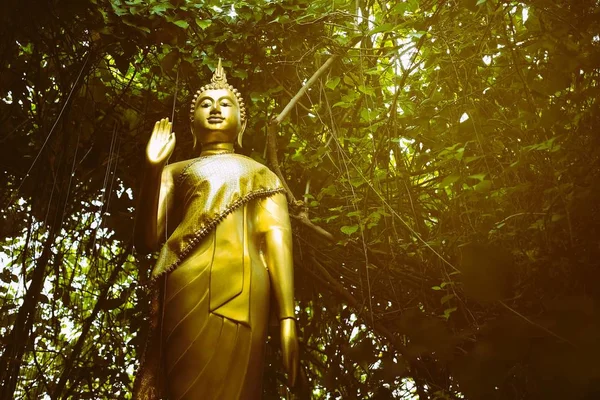 Goldenes Buddha Bild Park Mit Leck — Stockfoto