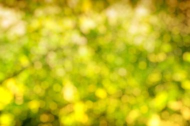 soyut yeşil bokeh arkaplanı.