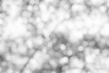 Soyut Beyaz Bokeh Arkaplanı.