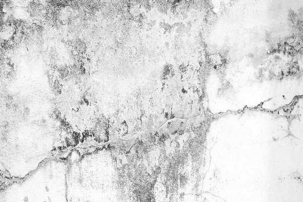 Fondo Textura Pared Hormigón Grunge Blanco —  Fotos de Stock