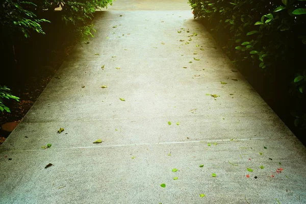 Concrete Pathway Park — Stock Photo, Image