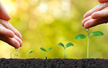 eller büyüyen bir çiftçinin 