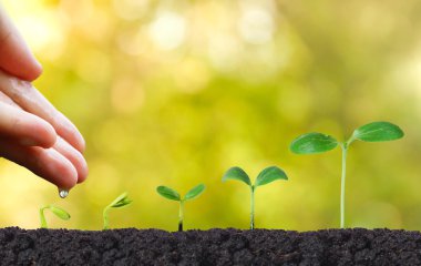 eller büyüyen bir çiftçinin 