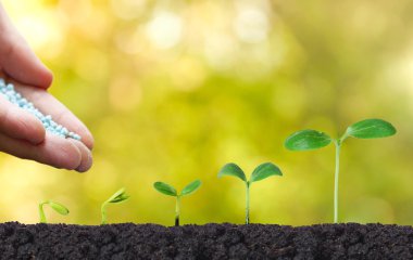 eller büyüyen bir çiftçinin 