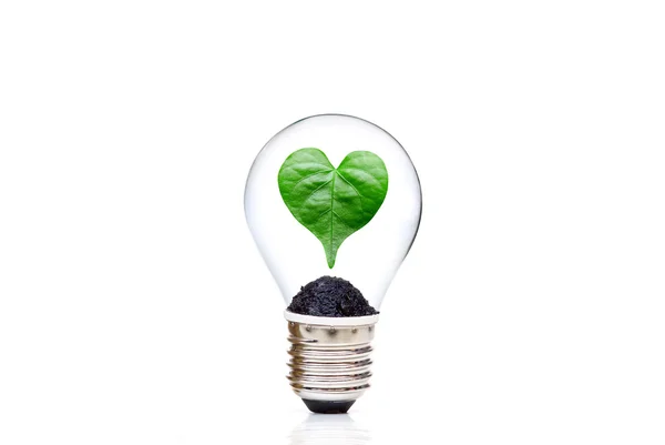 Energia verde para um melhor conceito ambiental — Fotografia de Stock