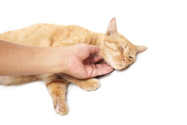 Yavaşça dokunmadan el 