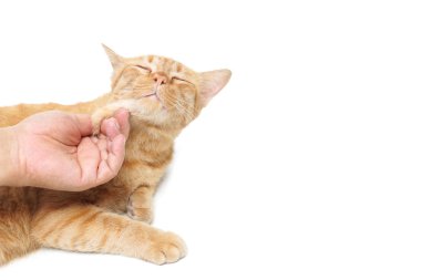 Yavaşça dokunmadan el 