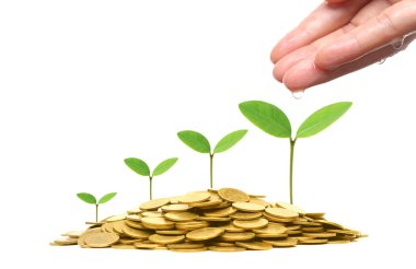 Yeşil iş ve yatırım 