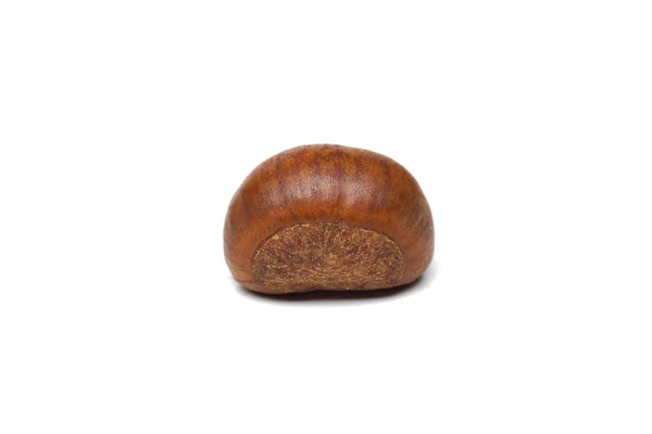 Roasted Chestnut isolated — Stockfoto