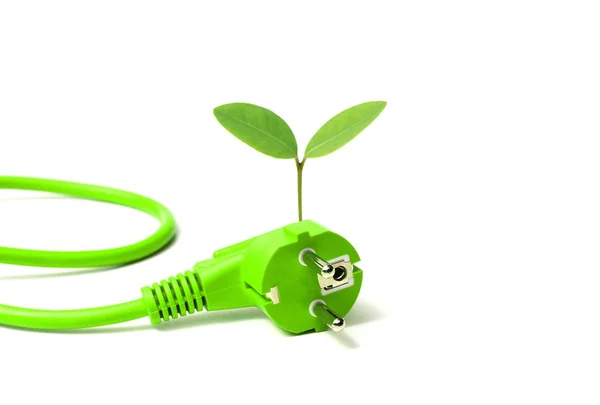 Enchufe con una planta verde joven — Foto de Stock