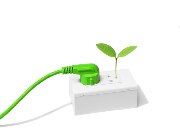Enchufe con una planta verde joven — Foto de Stock
