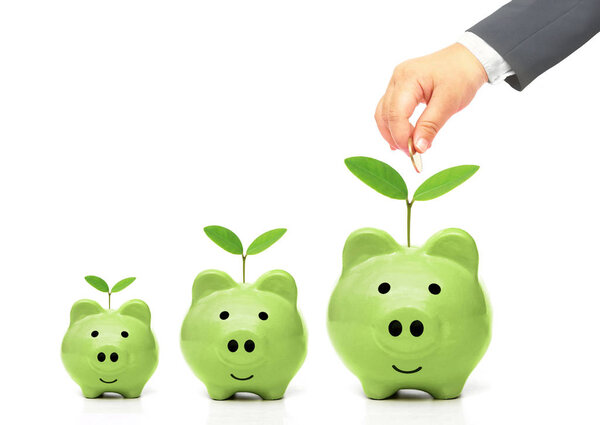 рука положить золотую монету в копилку свиньи
