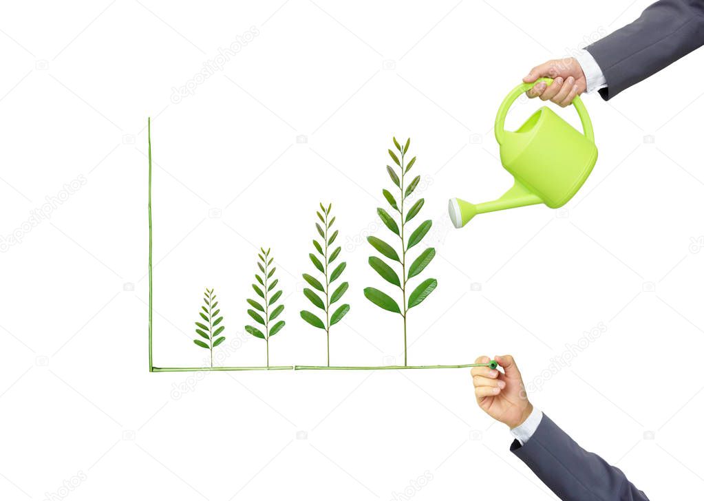 Businessmen watering green trees