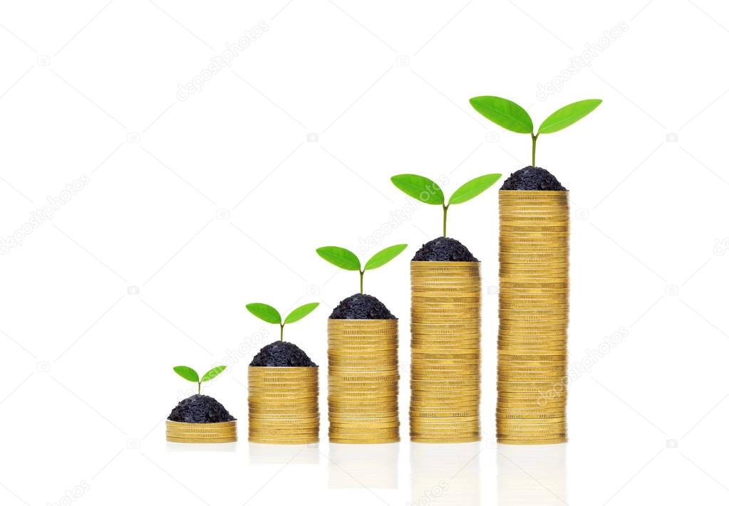 green plants growing on a pile of golden coins