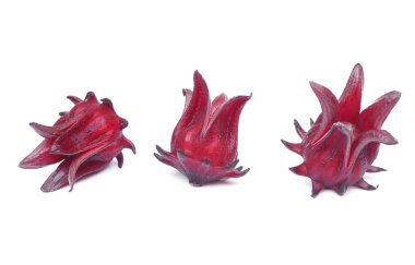 Roselle / Hibiscus sabdariffa L.