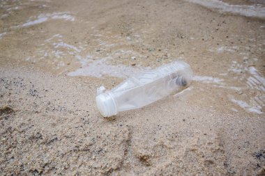 Plastik şişe sahilde