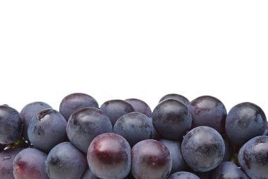 Boş alanı olan mor üzüm