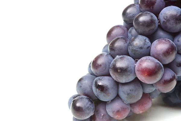 Fioletowy winogron puste miejsca — Zdjęcie stockowe