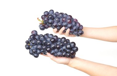 büyük mor üzüm demet