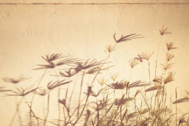 Beton arka plan ile çimen