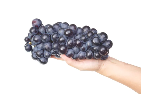 Purple grapes in hand — Stock Photo, Image