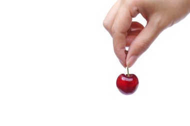 el kadar kiraz toplama