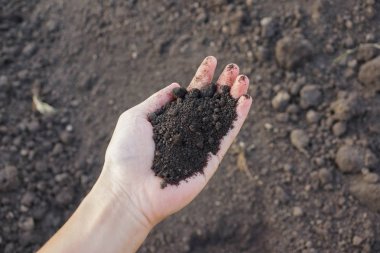 Kişi holding verimli topraklar