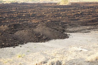 Arazi tarım için hazırlanıyor