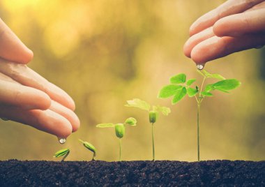 kişi sulama tesisleri 