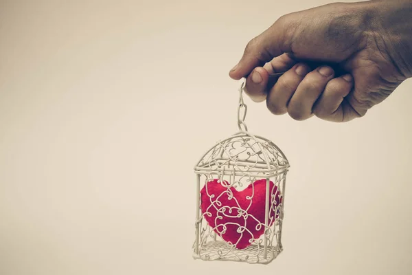 Heart in a cage concept — Stock Photo, Image