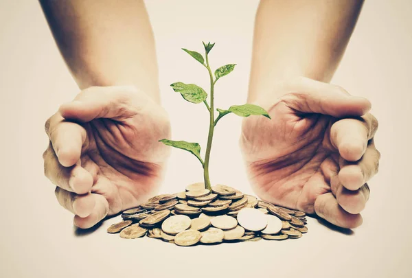 Mãos segurando uma árvore crescendo em moedas — Fotografia de Stock