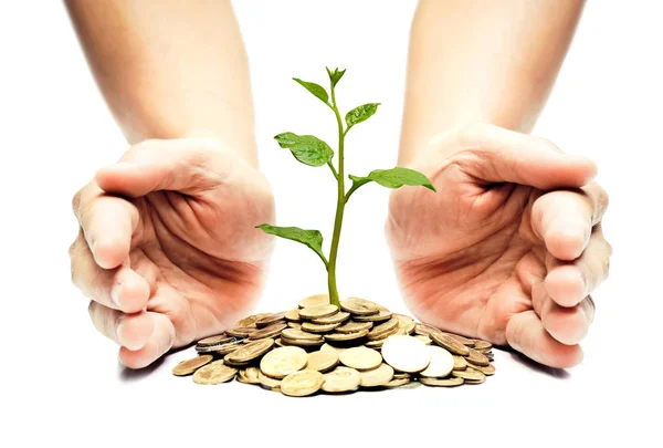 Manos sosteniendo un árbol creciendo en monedas — Foto de Stock