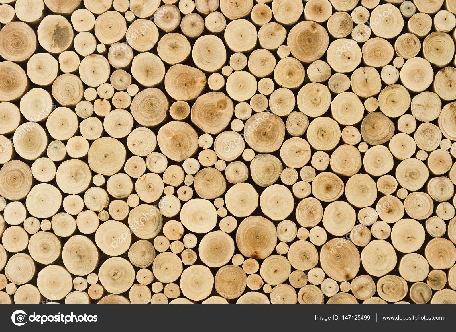 Round of both. Рыжий круг. Оранжевый круг на белом фоне. Красный круг. Розовое круглое.