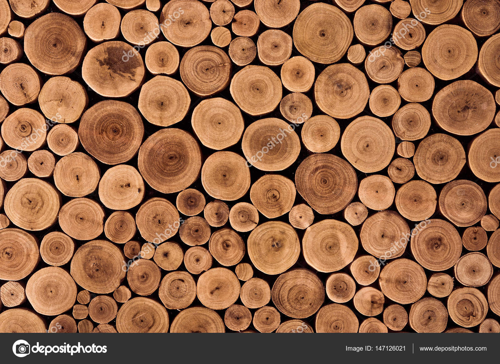 Round teak wood stump background Stock Photo by ©weerapat 147126021