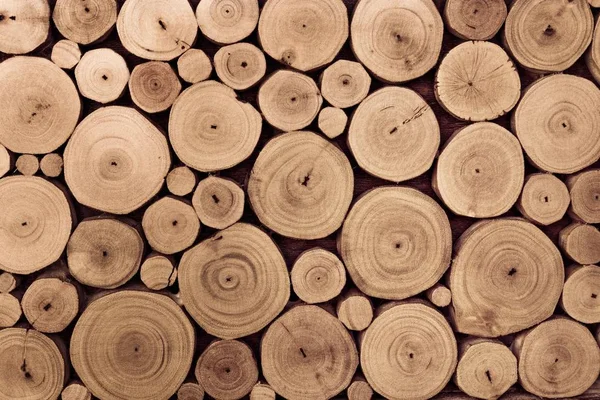 Kerek teak fa stump háttér — Stock Fotó