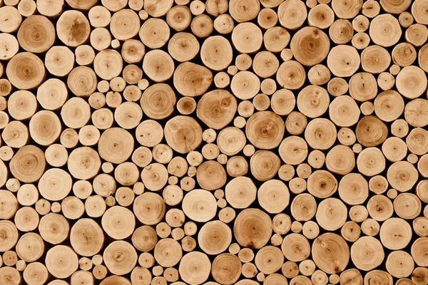 Round teak wood stump background — Stock Photo, Image