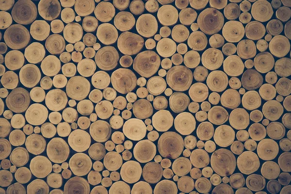 Kerek teak fa stump háttér — Stock Fotó