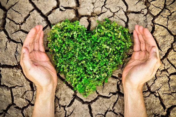 Un corazón verde en tierra agrietada — Foto de Stock