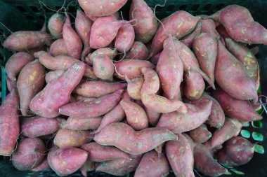 Tatlı patates yığını