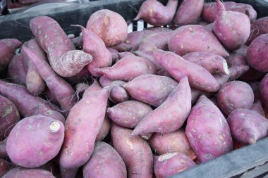 Tatlı patates yığını