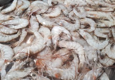 Beyaz karides yığını