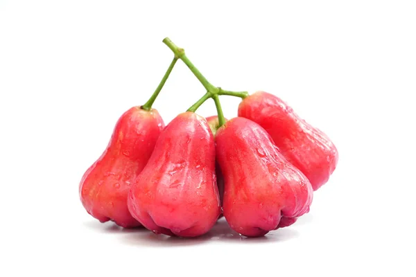 Un ramo de manzanas rosadas — Foto de Stock