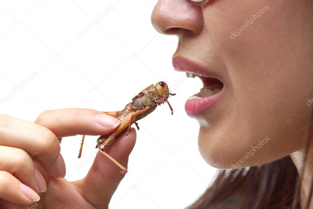 Eating insect concept 