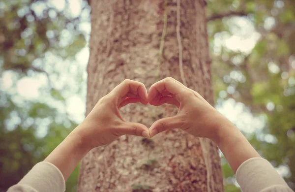 Protecting and love nature — Stock Photo, Image